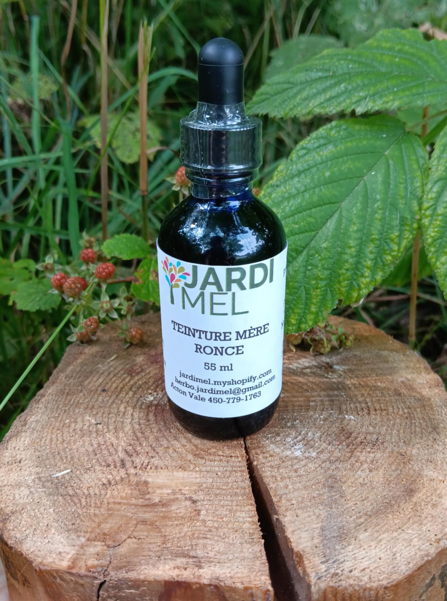 Bouteille de teinture mère de ronce, de marque Jardi Mel, posée sur une souche d'arbre avec des baies de ronces et des feuilles naturelles de ronce en arrière-plan. Étiquette avec jardimel.com