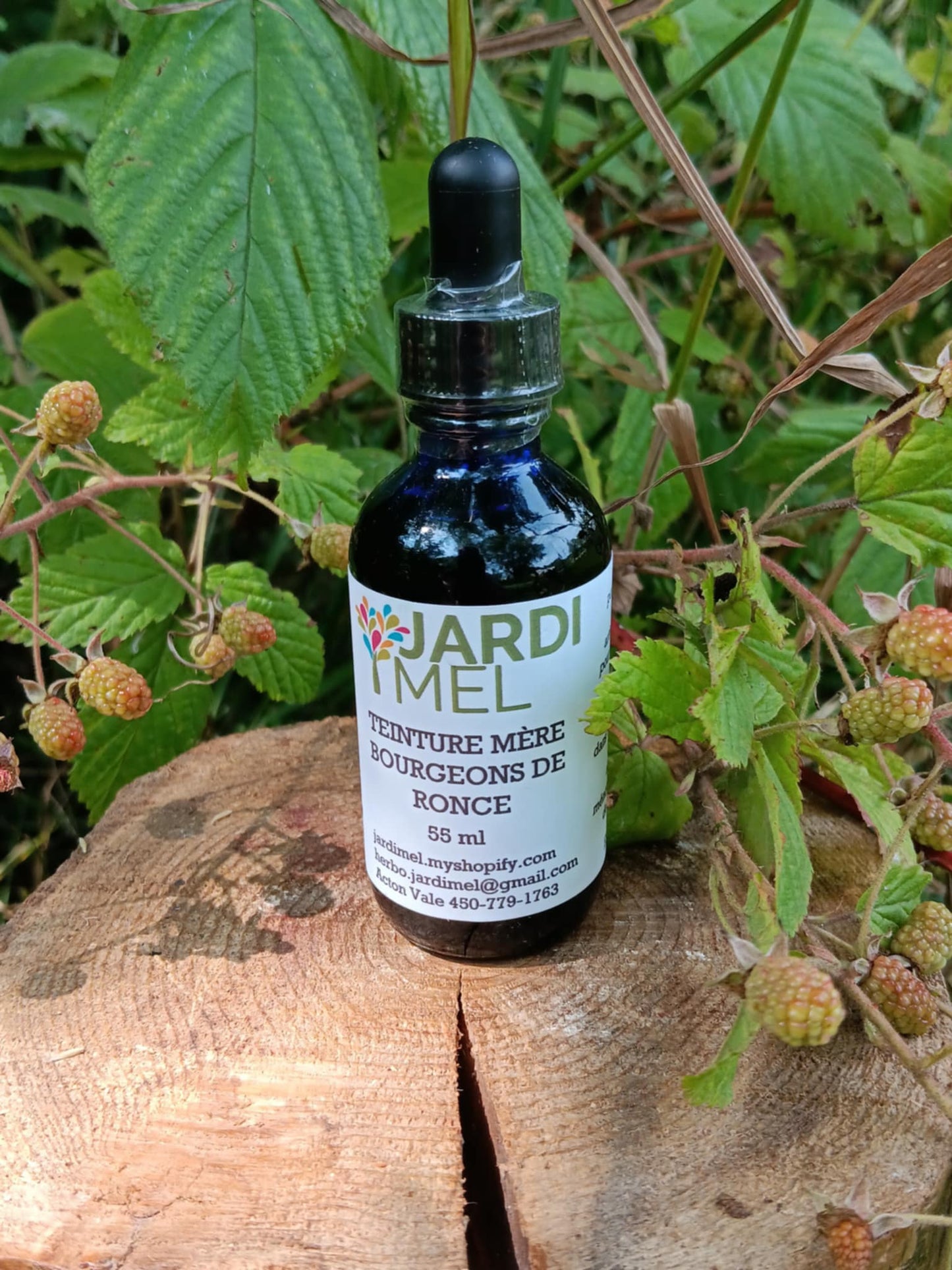 Bouteille de teinture mère de bourgeons de ronce Jardi Mel, posée sur une souche d'arbre entourée de branches de ronce avec des fruits en développement.
