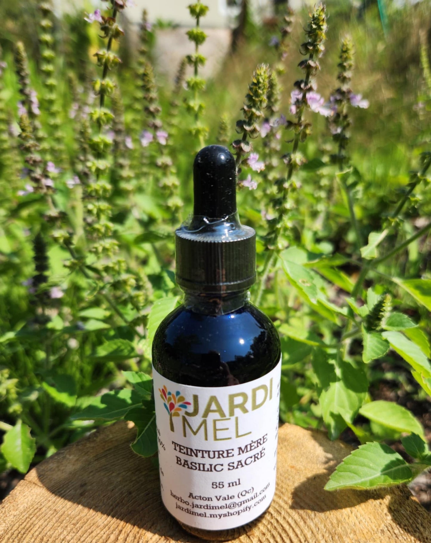 Bouteille de teinture mère Basilic sacré de marque Jardi Mel avec des plants de basilic sacré en fleurs derrière