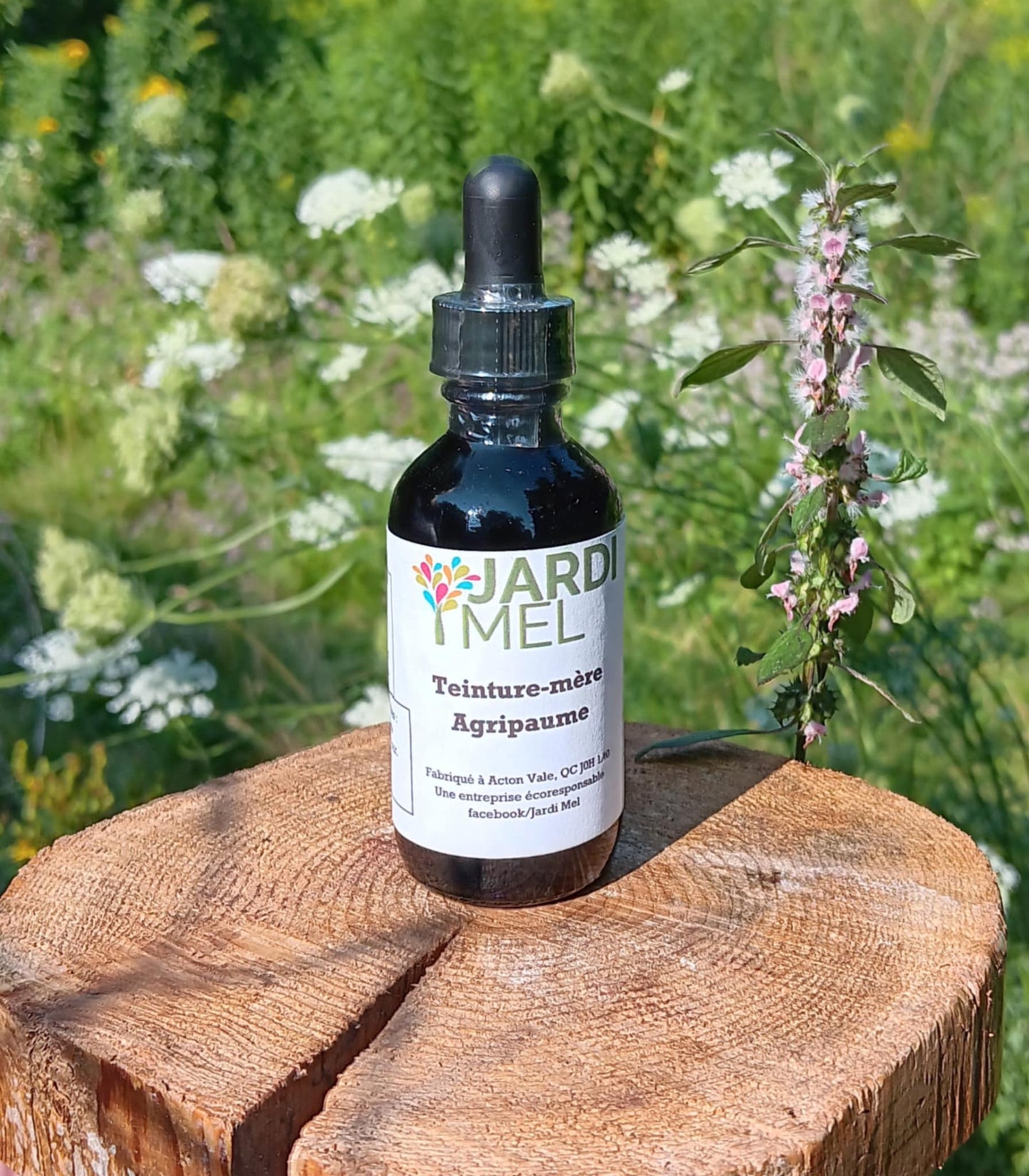 Bouteille de teinture mère Agripaume de marque Jardi Mel devant une plante d'agripaume en fleurs.