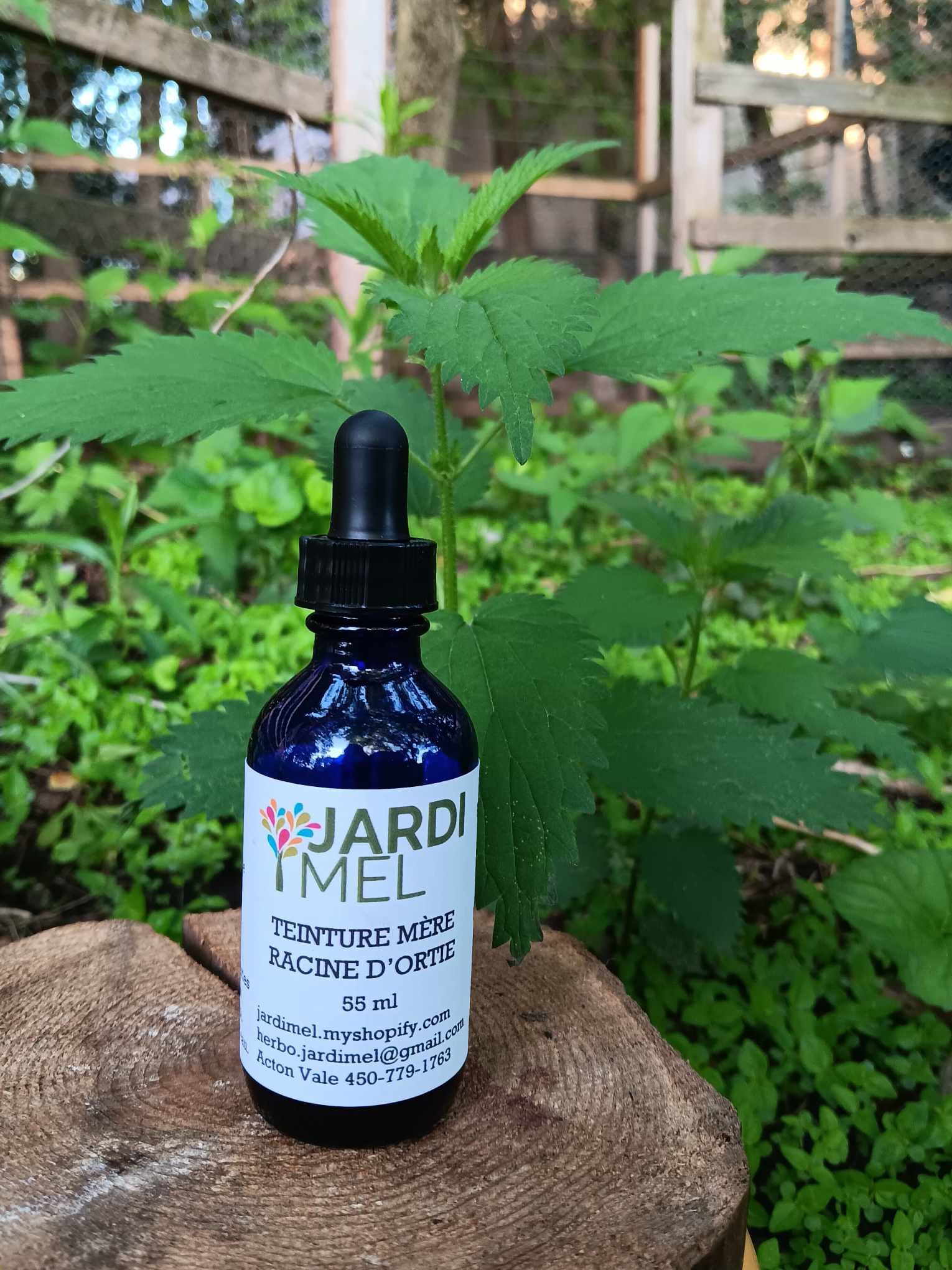 Bouteille de teinture mère de racine d'ortie Jardi Mel posée sur une souche d'arbre avec des plantes d'ortie en arrière-plan. Étiquette avec jardimel.com