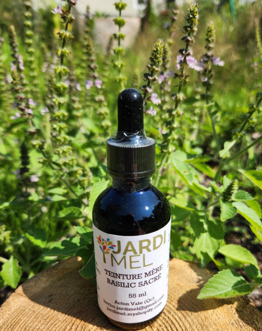 Bouteille de teinture mère Basilic sacré de marque Jardi Mel avec des plants de basilic sacré en fleurs derrière