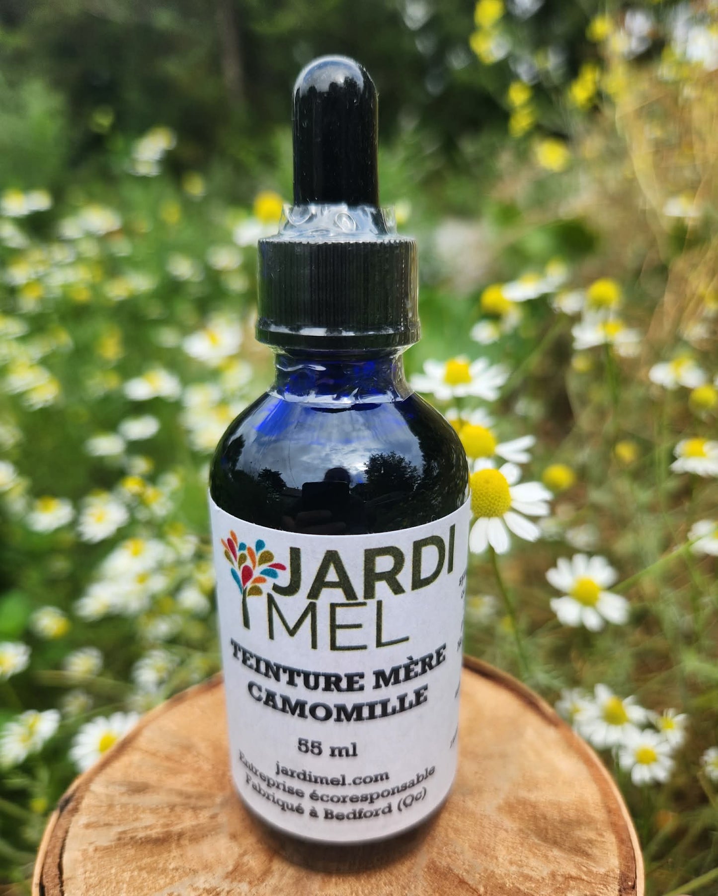 Bouteille de teinture mère de camomille de la marque Jardi Mel, posé sur un rondin de bois naturel et avec des fleurs de camomilles en arrière plan