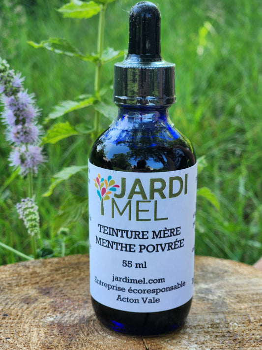 Bouteille de teinture mère de menthe poivrée de la marque Jardi Mel devant un plant de menthe poivrée en fleur