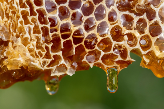 L'image est un Rayon de miel avec des cellules hexagonales remplies de miel doré et des gouttes de miel qui en coulent.