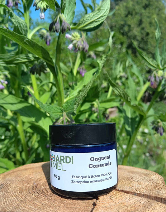 Pot de pommade de consoude JARDIMEL de 50 g posé sur une souche d'arbre, entouré de plantes de consoude en fleurs, en arrière-plan. Étiquette avec jardimel.com