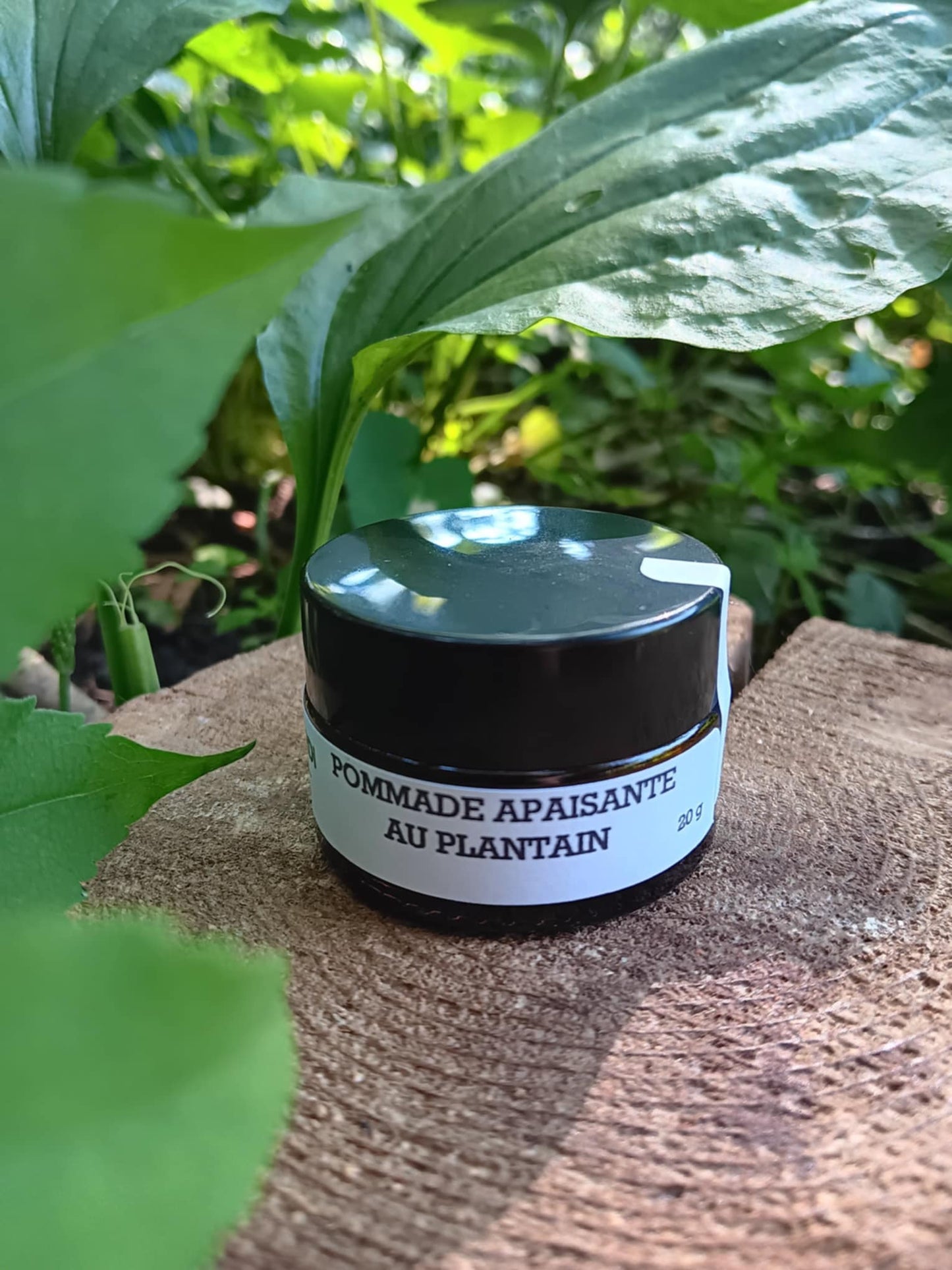 Pommade apaisante au plantain - Jardi Mel