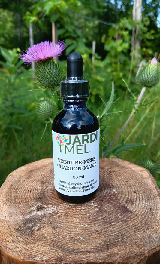 Teinture mère Chardon - marie - Jardi Mel