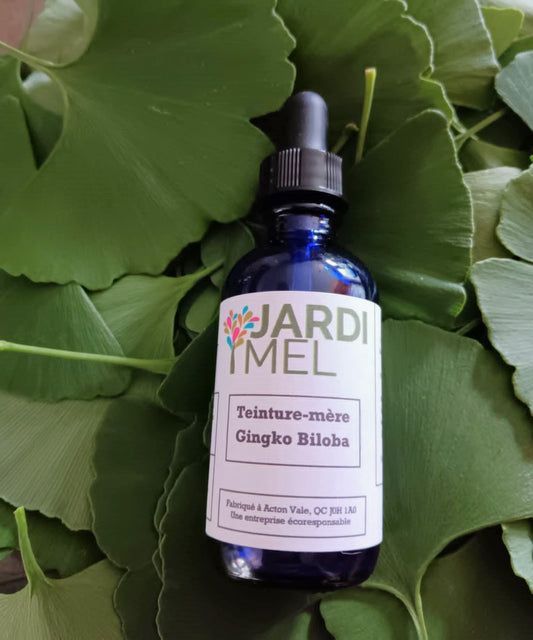 Teinture mère Ginkgo biloba - Jardi Mel