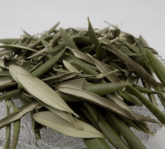 Teinture mère Olivier - Jardi Mel