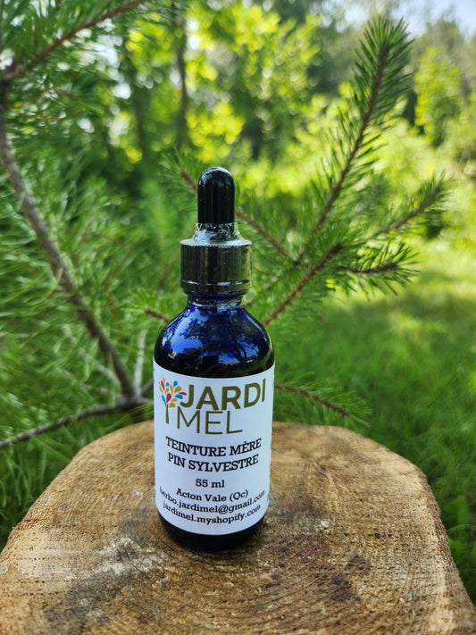 Teinture mère Pin sylvestre - Jardi Mel