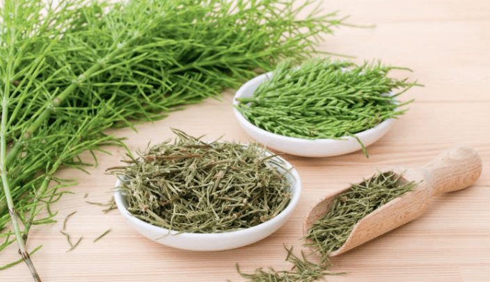 Teinture mère Prêle des champs - Jardi Mel