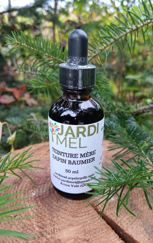 Teinture mère Sapin baumier - Jardi Mel